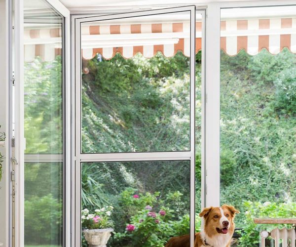 Hund geht durch eine Insektenschutztür ins Innere.